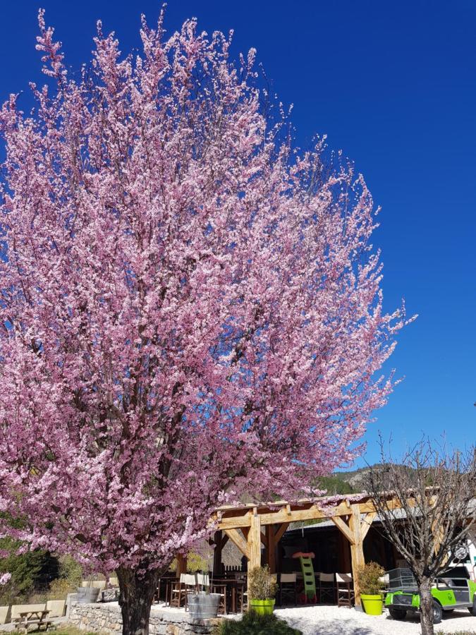 Camping Calme Et Nature Castellane Zewnętrze zdjęcie